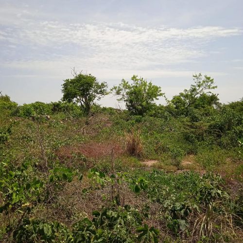 Lote en venta en Rural, Puerto Colombia, 3500 m² · foto 8 de 9