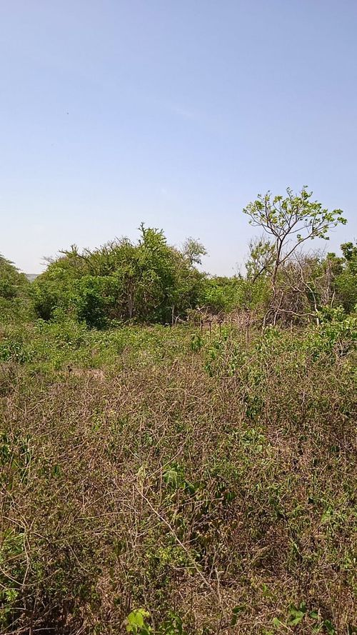 Lote en venta en Rural, Puerto Colombia, 3500 m² · foto 9 de 9