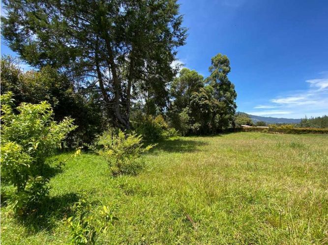 Lote en venta en El Tambo, La Ceja, 2800 m² · foto 2 de 15