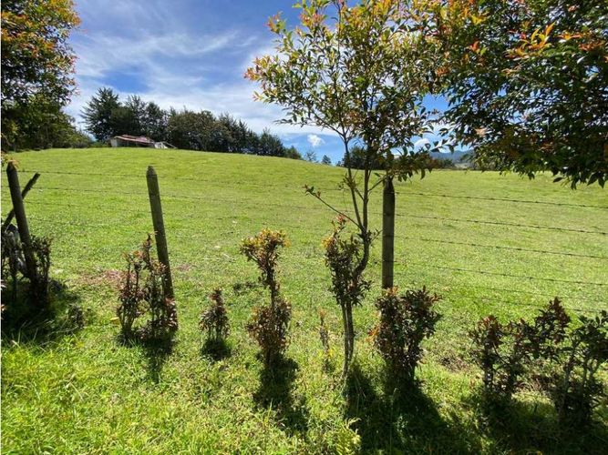 Lote en venta en El Tambo, La Ceja, 2800 m² · foto 3 de 15