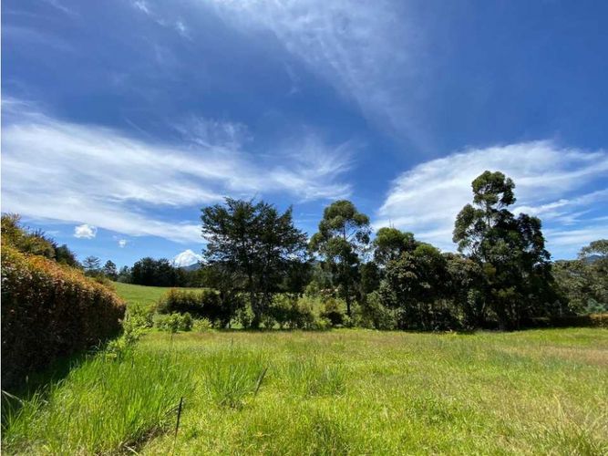 Lote en venta en El Tambo, La Ceja, 2800 m² · foto 7 de 15