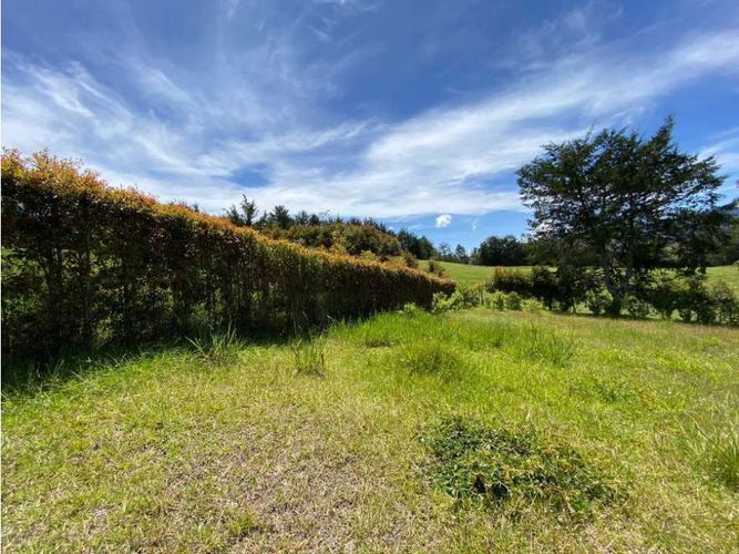 Lote en venta en El Tambo, La Ceja, 2800 m² · foto 10 de 15