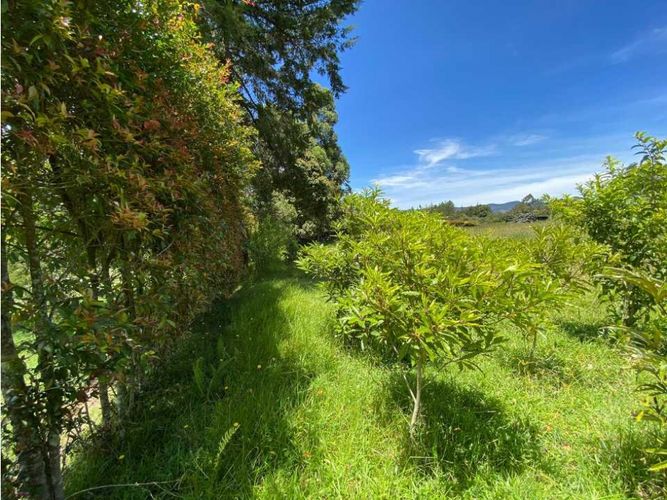 Lote en venta en El Tambo, La Ceja, 2800 m² · foto 13 de 15