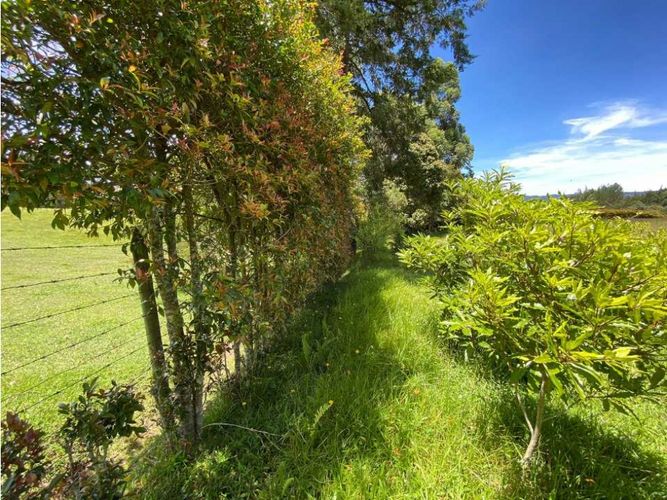 Lote en venta en El Tambo, La Ceja, 2800 m² · foto 15 de 15