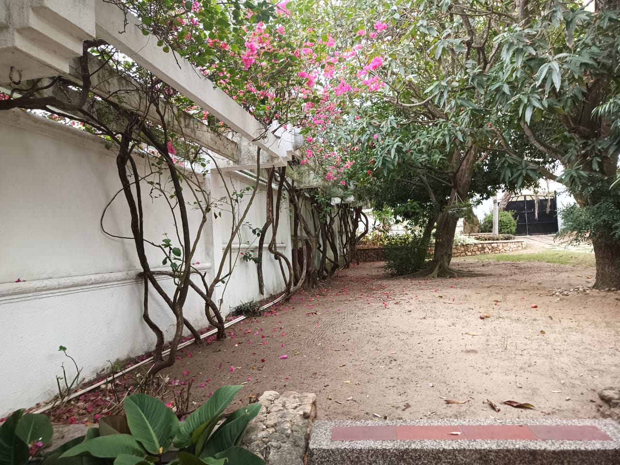 Casa en venta en Villa Santos, Barranquilla · foto 22 de 24