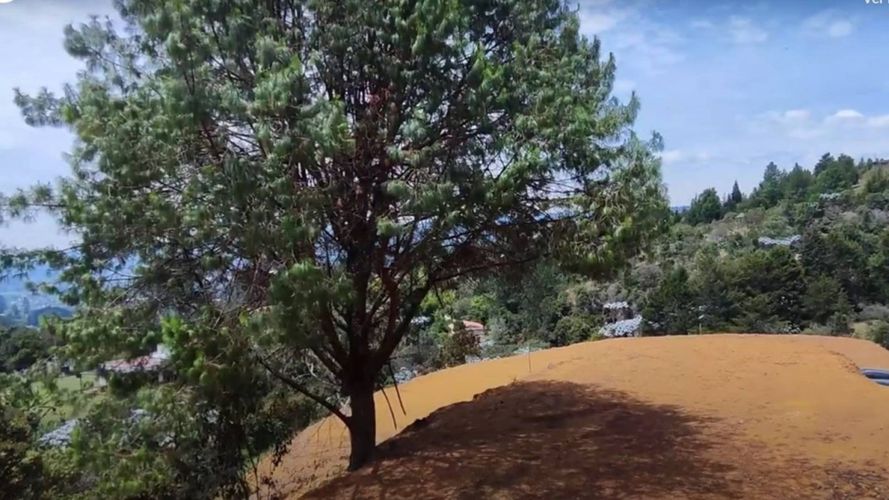 Lote en venta en La Clara, Guarne, 1834 m² · foto 5 de 7