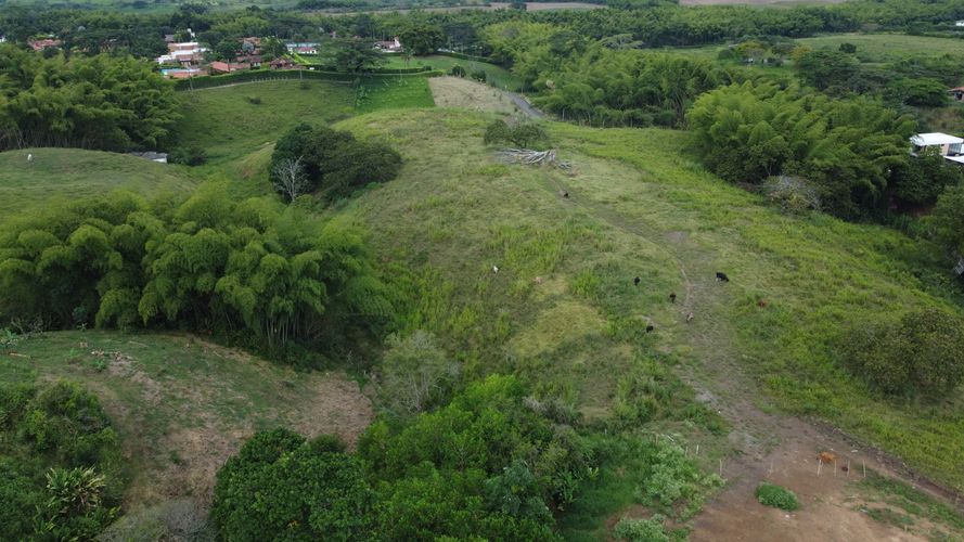 Lote en venta en Cerritos, Pereira, 2000 m² · foto 24 de 24