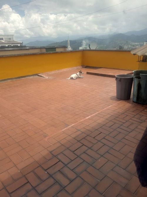 Apartamento de 6 alcobas en venta en Centenario, Manizales, 100 m² · foto 13 de 15