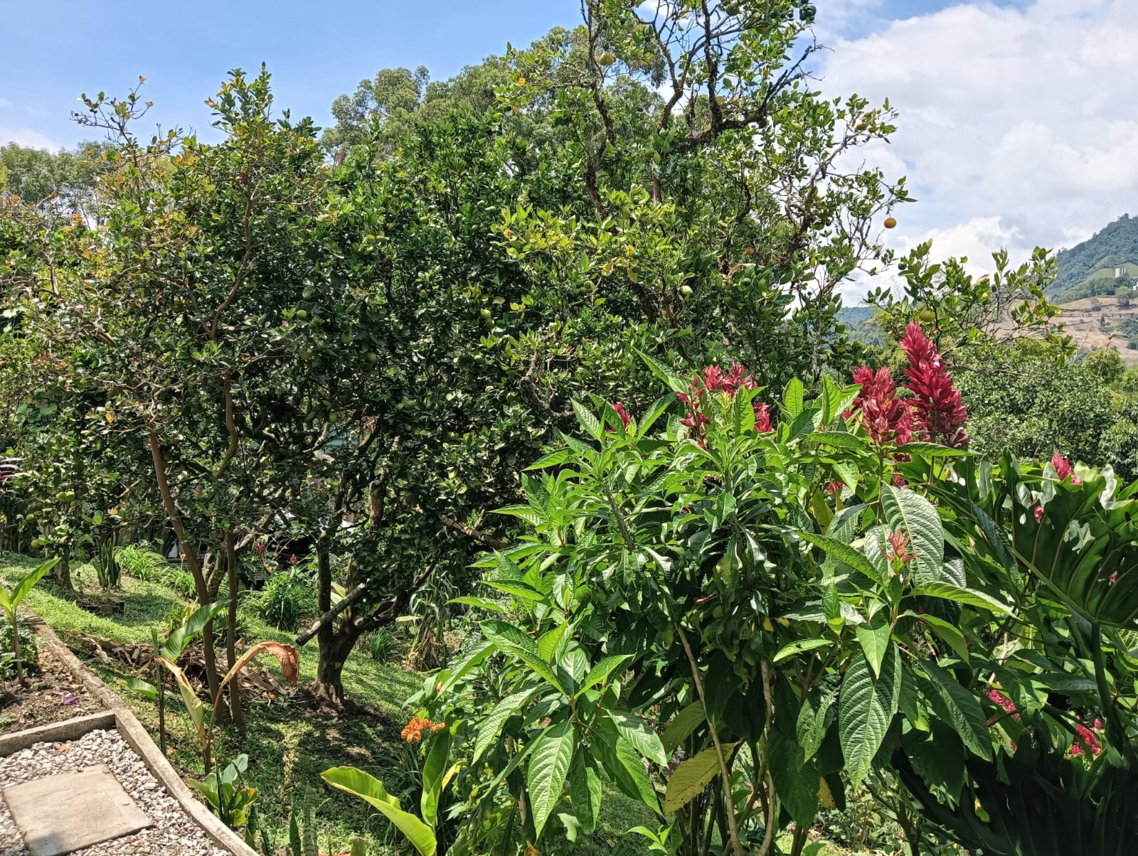 Casa en venta en El Arenillo Parte, Manizales · foto 24 de 24