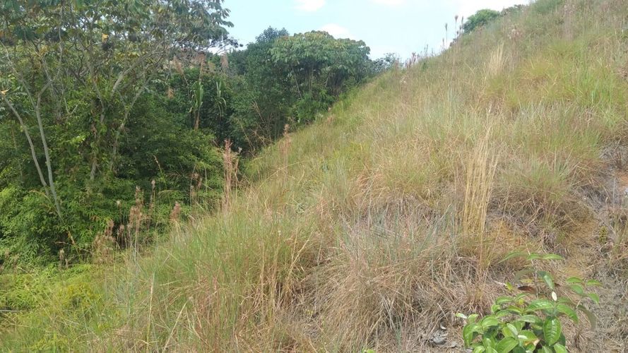 Lote en venta en Potrerito, Jamundí, 1883 m² · foto 14 de 15