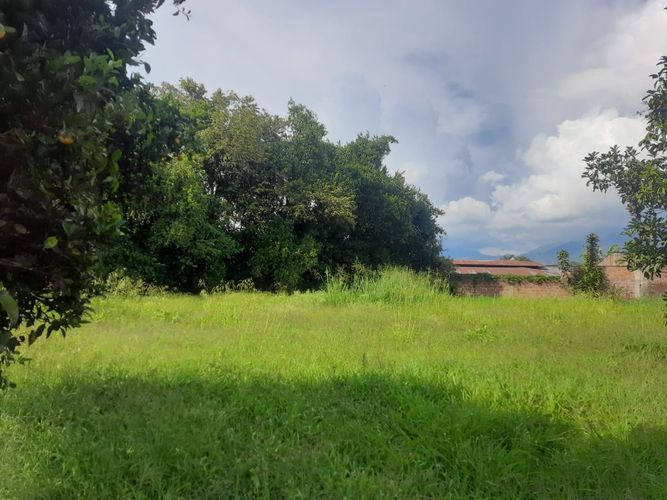 Finca en venta en Barrancas, Palmira, 242 m² · foto 4 de 12