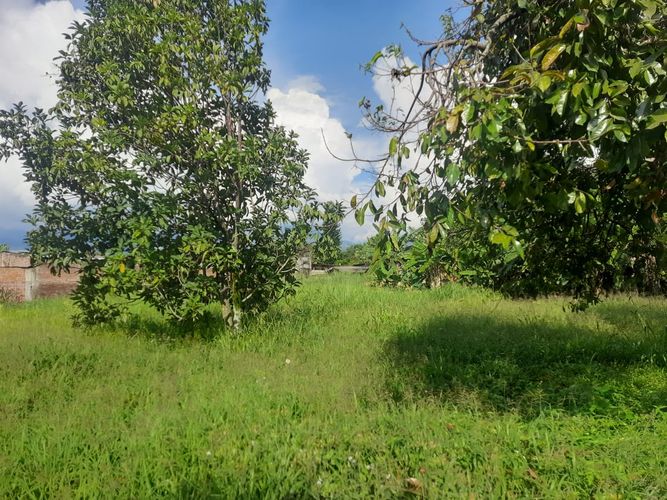 Finca en venta en Barrancas, Palmira, 242 m² · foto 8 de 12