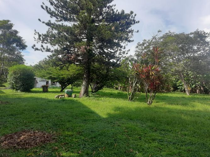 Finca en venta en Barrancas, Palmira, 242 m² · foto 9 de 12