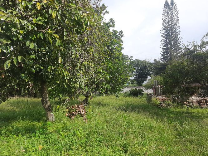Finca en venta en Barrancas, Palmira, 242 m² · foto 11 de 12