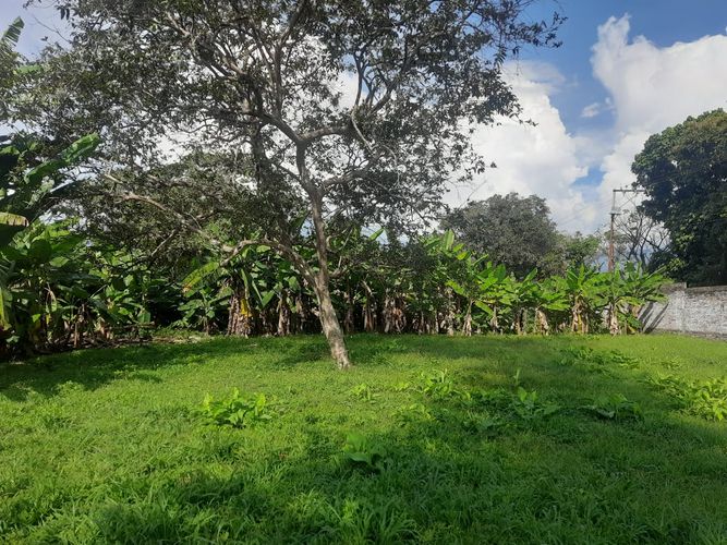 Finca en venta en Barrancas, Palmira, 242 m² · foto 12 de 12