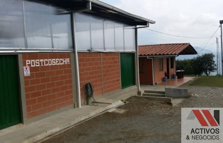 Finca en venta en Zamorano, Palmira · foto 5 de 14