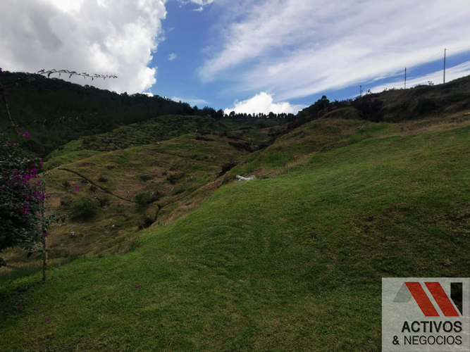 Finca en venta en Zamorano, Palmira · foto 7 de 14