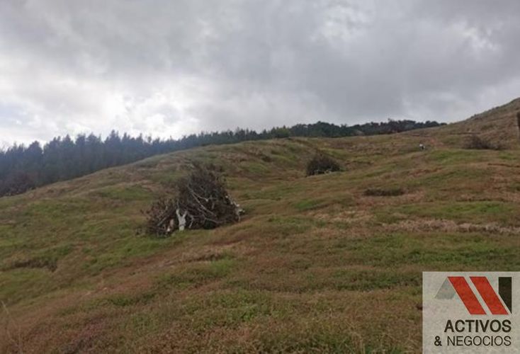 Finca en venta en Zamorano, Palmira · foto 8 de 14