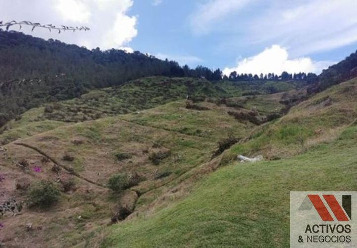 Finca en venta en Zamorano, Palmira · foto 9 de 14