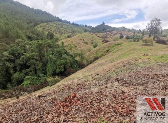 Finca en venta en Zamorano, Palmira · foto 10 de 14