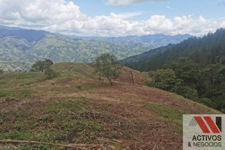 Finca en venta en Zamorano, Palmira · foto 11 de 14
