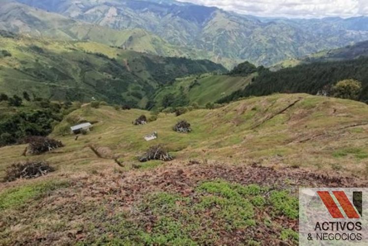 Finca en venta en Zamorano, Palmira · foto 12 de 14