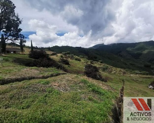 Finca en venta en Zamorano, Palmira · foto 13 de 14