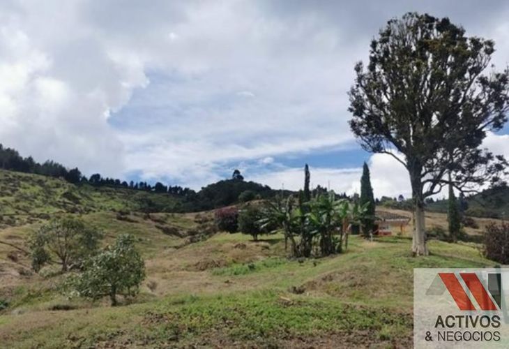 Finca en venta en Zamorano, Palmira · foto 14 de 14