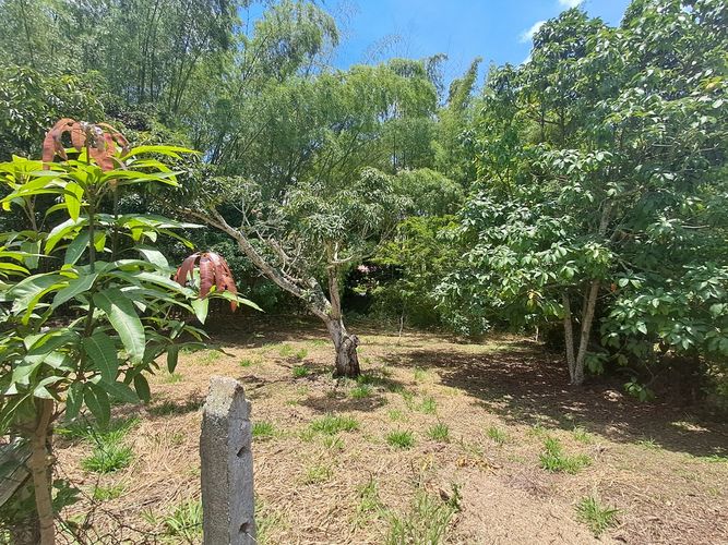 Lote en venta en Ruitoque, Bucaramanga, 1400 m² · foto 2 de 11