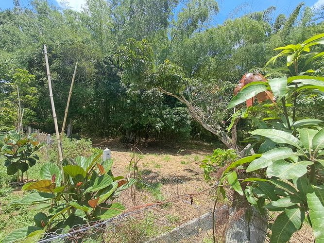 Lote en venta en Ruitoque, Bucaramanga, 1400 m² · foto 3 de 11