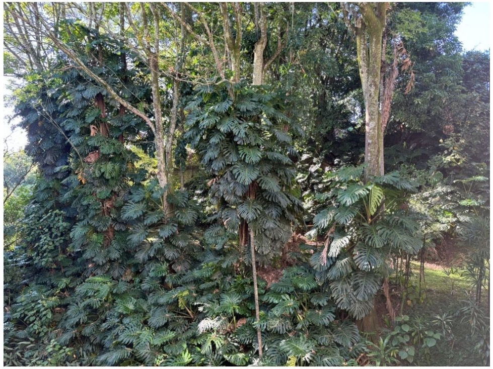Apartamento en Venta en El Poblado, Medellín - Miniatura 20