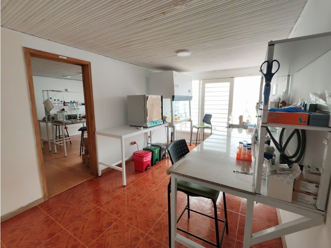 Local en arriendo en Palermo, Manizales, 360 m² · foto 10 de 24