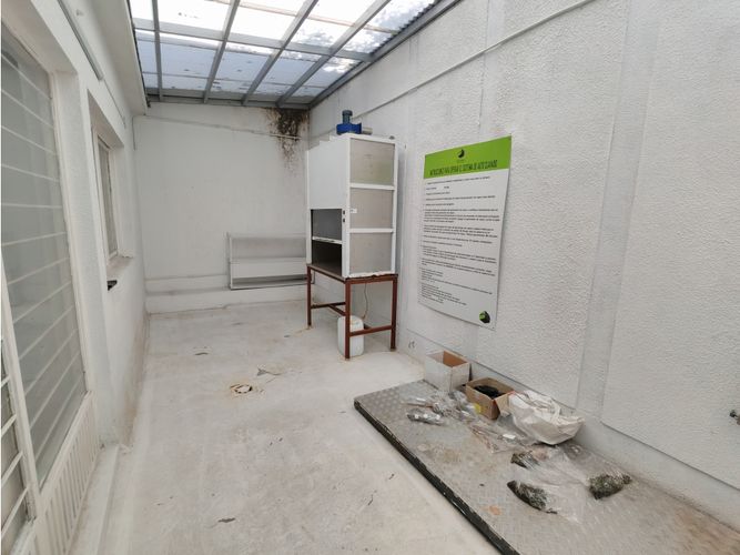 Local en arriendo en Palermo, Manizales, 360 m² · foto 17 de 24