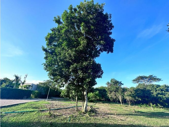 Lote en venta en Cartagena De Indias, Cartagena, 797 m² · foto 13 de 20