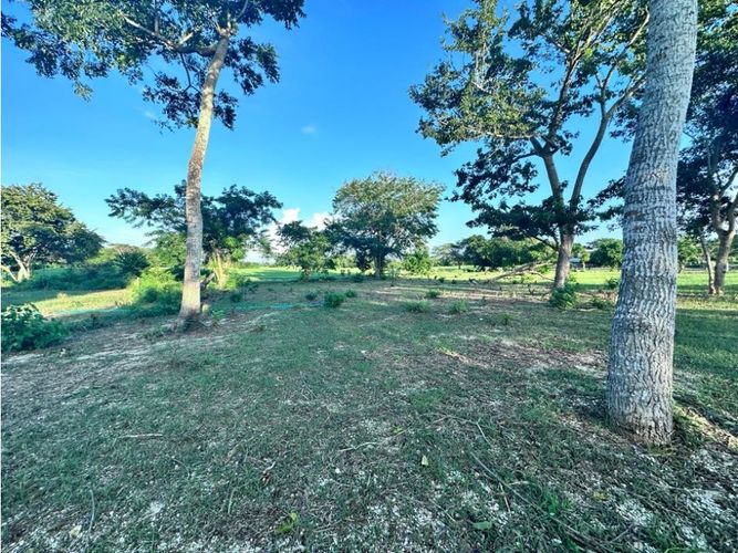 Lote en venta en Cartagena De Indias, Cartagena, 797 m² · foto 15 de 20