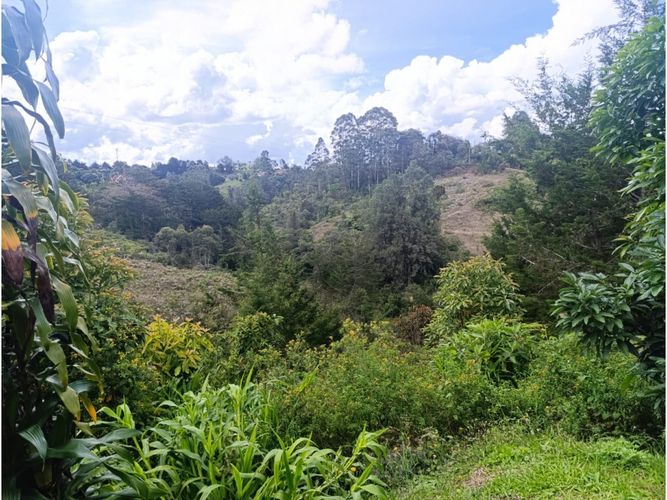 Lote en venta en Los Pinos, Marinilla, 9258 m² · foto 2 de 2