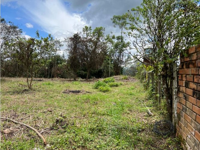 Lote en venta en Los Pinos, Marinilla, 7950 m² · foto 2 de 4