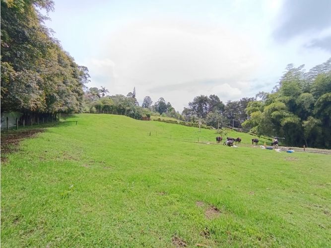 Lote en venta en San Nicolas, La Ceja, 7175 m² · foto 2 de 11
