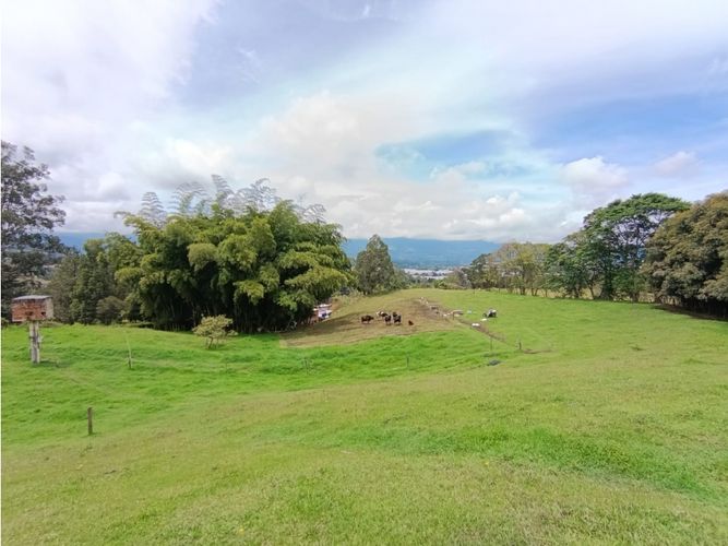 Lote en venta en San Nicolas, La Ceja, 7175 m² · foto 4 de 11