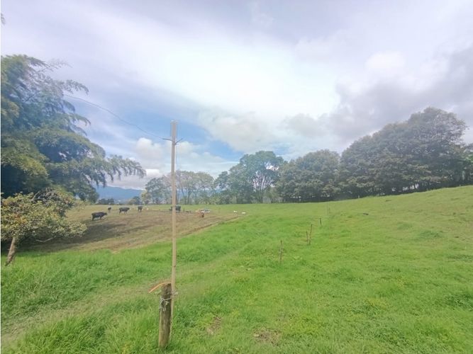Lote en venta en San Nicolas, La Ceja, 7175 m² · foto 5 de 11