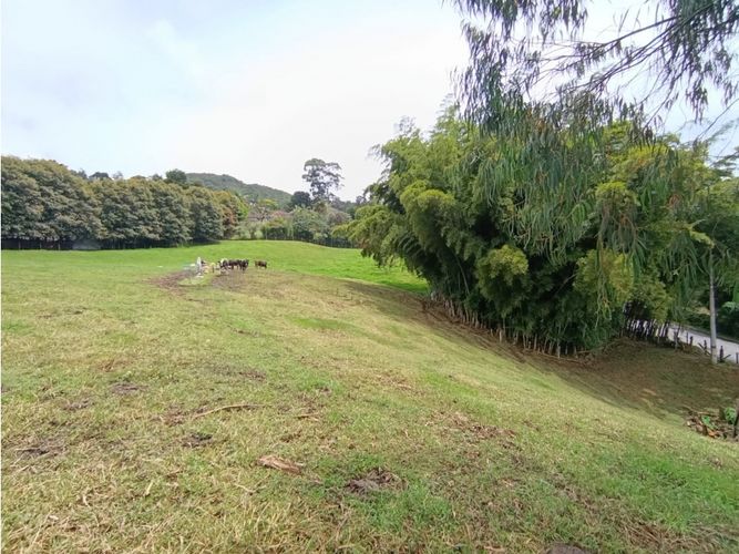 Lote en venta en San Nicolas, La Ceja, 7175 m² · foto 7 de 11