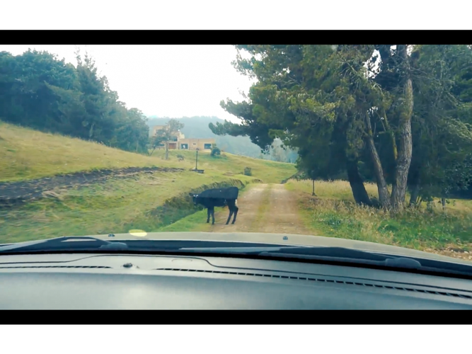 Lote en venta en El Libano, La Calera, 10000 m² · foto 2 de 18