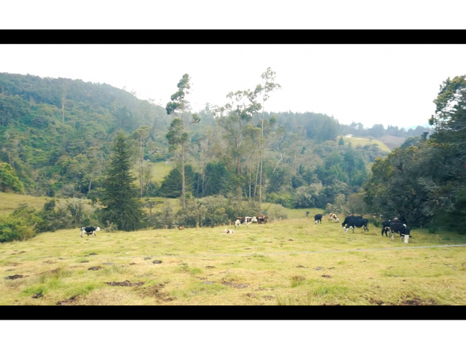 Lote en venta en El Libano, La Calera, 10000 m² · foto 3 de 18