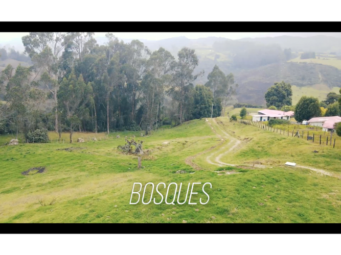Lote en venta en El Libano, La Calera, 10000 m² · foto 6 de 18