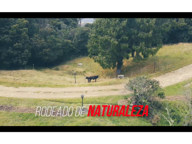 Lote en venta en El Libano, La Calera, 10000 m² · foto 12 de 18