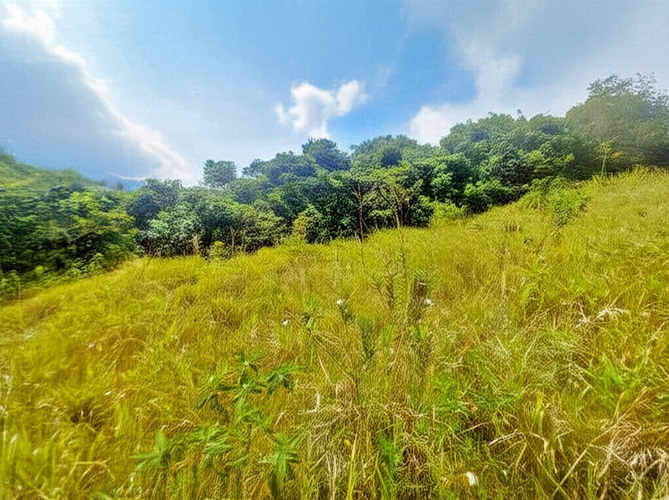 Casa en venta en El Totumo, Ibagué, 1200 m² · foto 3 de 8