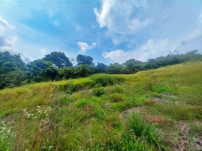 Casa en venta en El Totumo, Ibagué, 1200 m² · foto 4 de 8