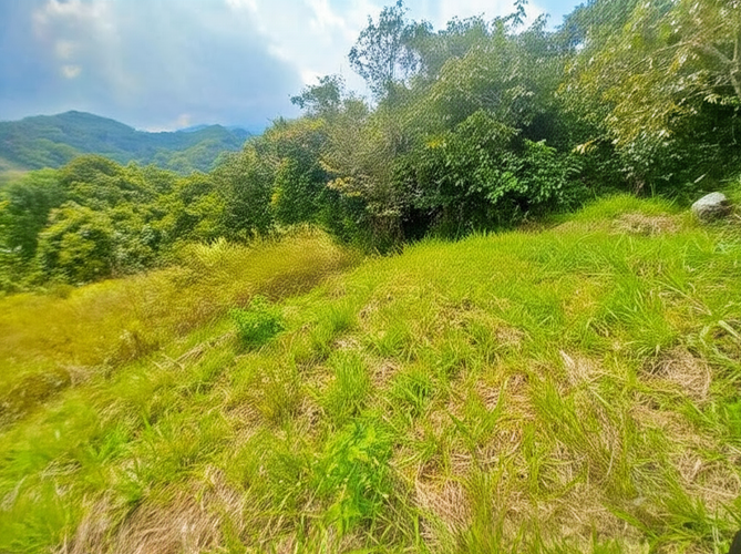 Casa en venta en El Totumo, Ibagué, 1200 m² · foto 8 de 8
