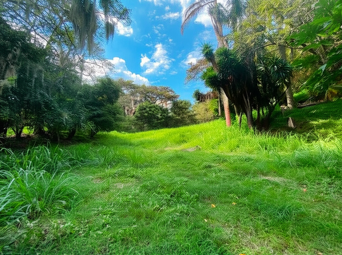 Casa en venta en Aguacatal, Cali · foto 6 de 10
