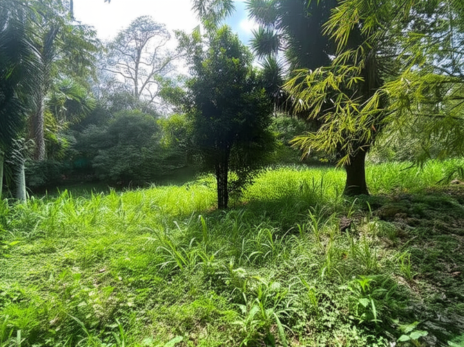 Casa en venta en Aguacatal, Cali · foto 9 de 10